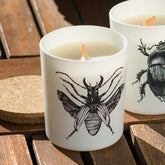 Vila Hermanos Insect Dorysthenes Walkeri Jar Candle Wood Wick